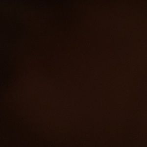 Meet your Posher, Alisa